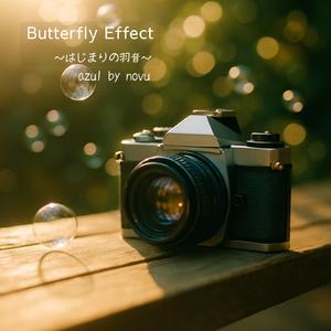 バタフライ・エフェクト ～はじまりの羽音～