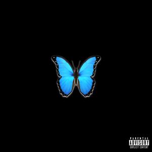 blauer Schmetterling