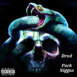 **** Niggas