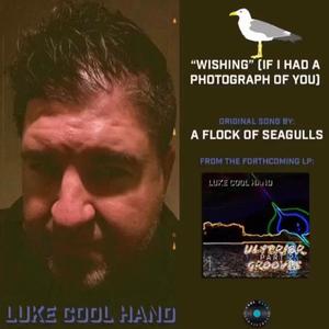 Wishing (If I Had a Photograph of You)