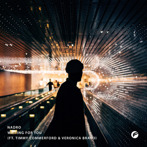 Waiting for You (feat. Timmy Commerford & Veronica Bravo)