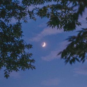 _mario-需要被拯救（Realmoker&Gvortex remix）