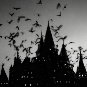 她是INFP（旋律纯享）