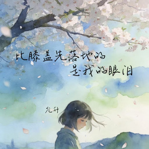 比膝盖先落地的是我的眼泪