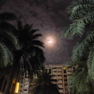 How Long Will I Love You (AA 'Una Mattina' ）