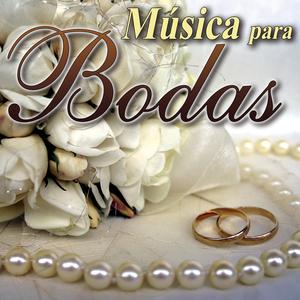 Toccata Y Fuga En Re Menor,Bwv 565