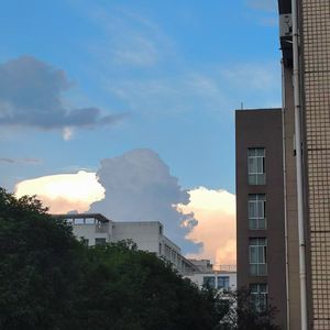 藤蔓缠绕的旧梦