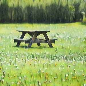 Affectuous Exuberance