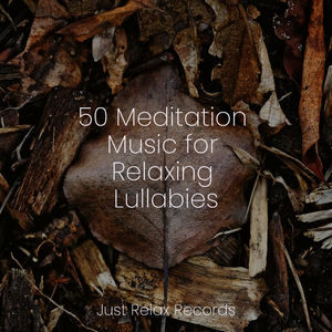 Lost in Cloud Canyons