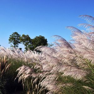 回响（Prod by RYUU)