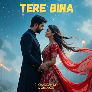 Tere Bina II (Mohanta Official Remix)