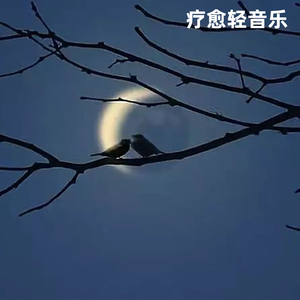 书店阅读沉浸纯音乐・文学世界的探索