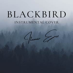 Blackbird (Instrumental Cover)