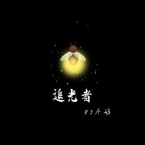 追光者（DJ版）