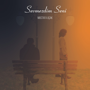 Sevmezdim Seni