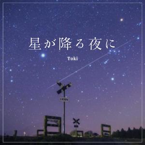 星が降る夜に