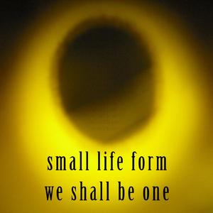 You Sound Like You Have Something to Say