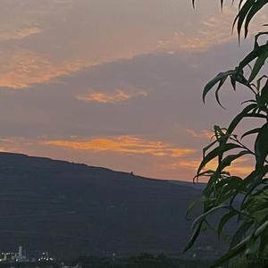 青城山下(不插电版)