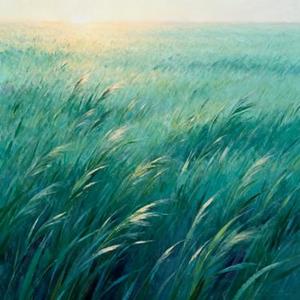 草右 (Cover 毛不易)