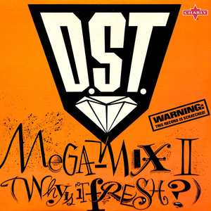 Megamix II: Why Is It Fresh? (Short Version)