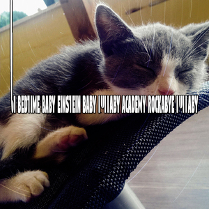 屈服於你的疲倦