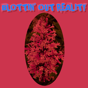 Blottin' Out Reality