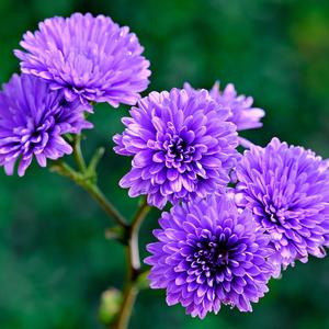 风起时（放松疗愈）