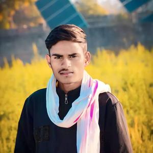 भाईचारा मीणा गीत Bhaichara Meena Geet