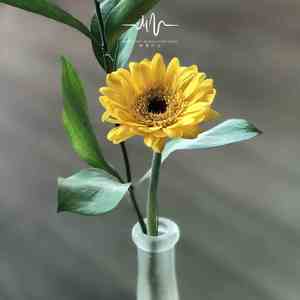 听君意 (古风文艺陶笛)