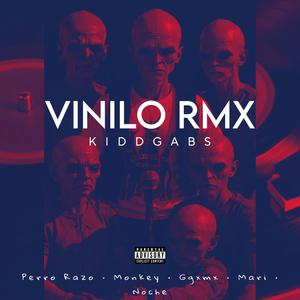 Vinilo RMX (feat. Perro Razo, Monkey, Ggxmx, Mari & Noche)