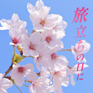 旅立ちの日に (カバー)