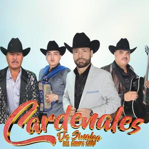 Los Polvos de estos Caminos-Los Cardenales de Sinaloa /Primeras Grabaciones