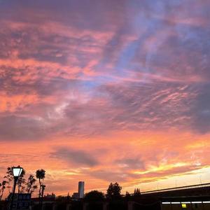 与酒相关便是与你相关