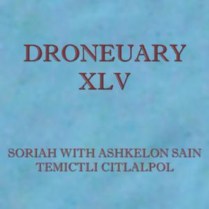Droneuary XLV - Temictli Citlalpol