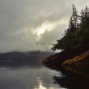 Temporal Memory, Pt. 1: Malaria Suite