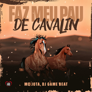 Faz Meu Pau de Cavalin