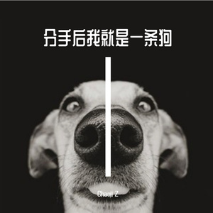分手后我就是一条狗