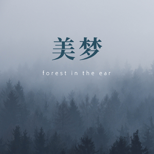 美梦（升调版）