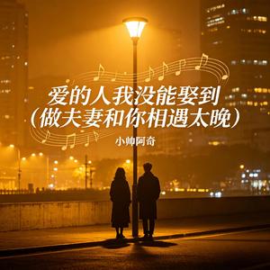 爱的人我没能娶到（做夫妻和你相遇太晚）