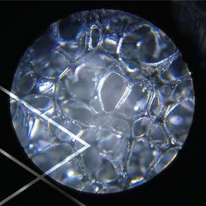 A Night Among The Trees