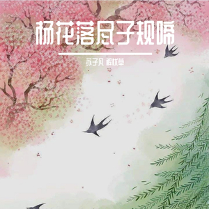 杨花落尽子规啼