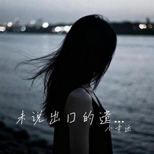 未说出口的遗憾 (小幸运 Remix)