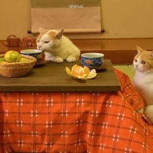 あまい夜のかけら