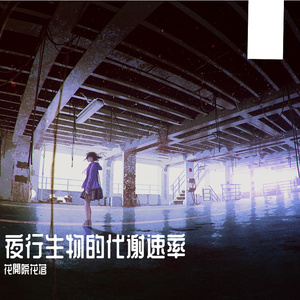 Night Creatures’ Pulse；)