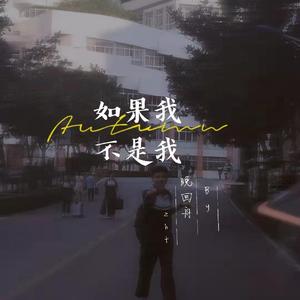 如果我不是我
