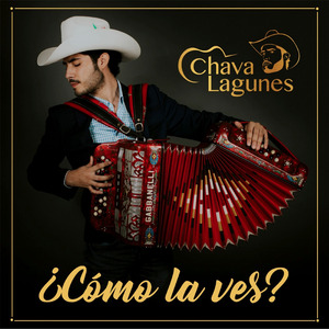 ¿Cómo la ves?