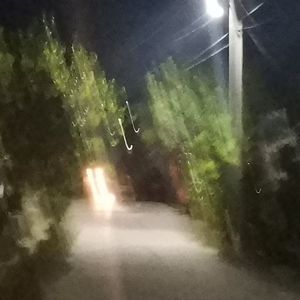 魚(prod. aura+frankie)。