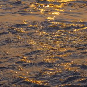 倘若有天我辞了这人世