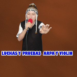 LUCHAS Y PRUEBAS ARPA Y VIOLIN