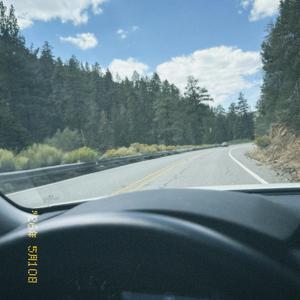 roads less traveled